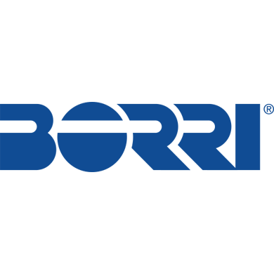 Borri UPS Logo